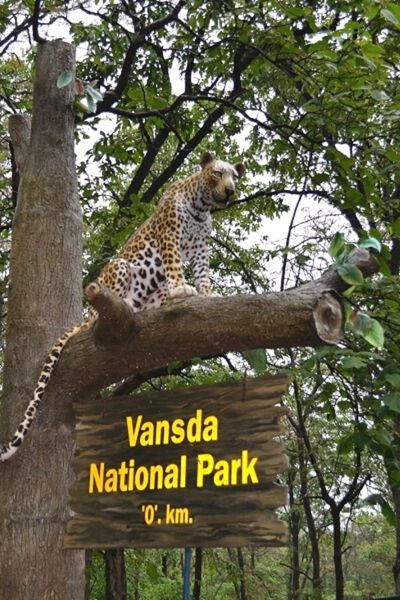 Vansda National Park